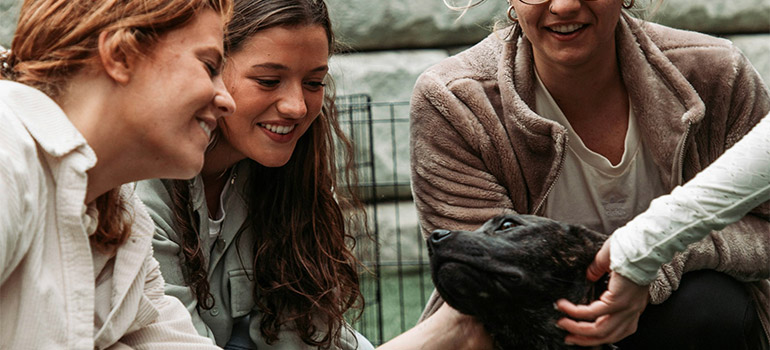 friends petting a dog