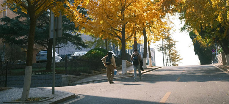 couple walking a steep street