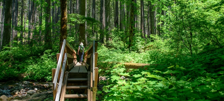 hiking in Roxborough