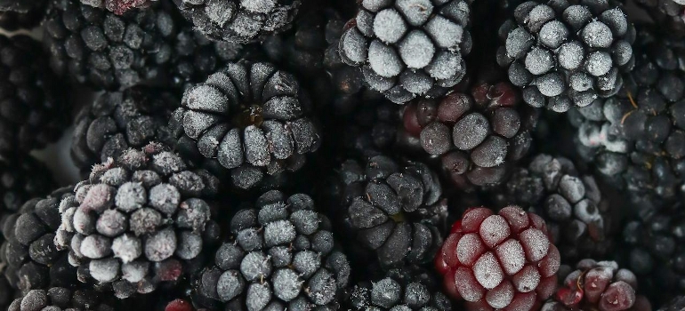 frozen blackberries